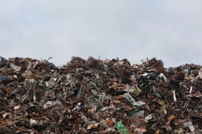 Bruno Bella (Vibeco): Terra Dei Fuochi Situazione Gravissima, Ma La Regione Campania Sta Agendo Al Meglio